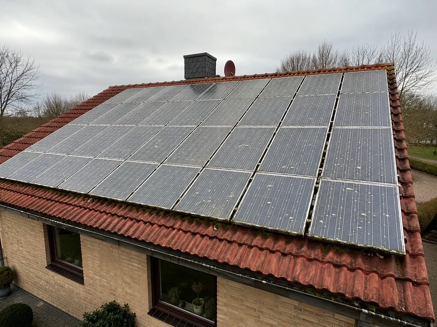 Photovoltaikanlage auf einem Hausdach vor der Reinigung, die Module tragen Moos und Grünbelag an den unteren Kanten.