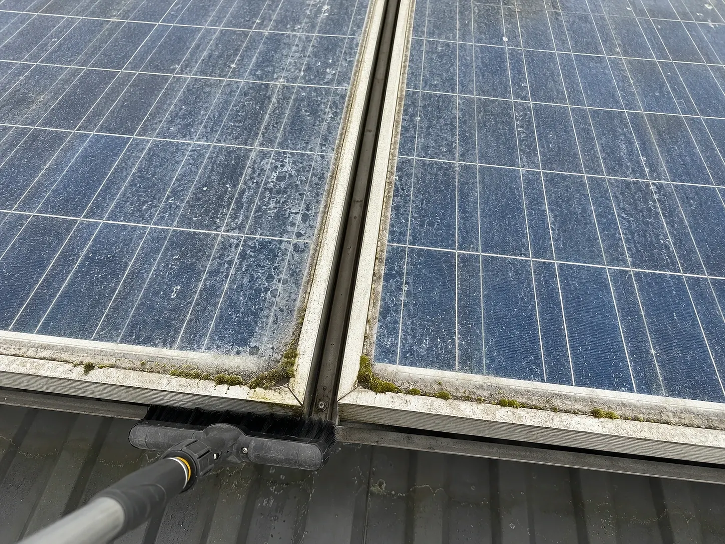 Nahaufnahme verschmutzter Solarmodule mit Moos in den Rahmenfugen, daneben eine weiche Reinigungsbürste am Teleskopstiel.